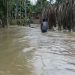 Assam Flood: ਅਸਾਮ ‘ਚ ਹੜ੍ਹ ਤੇ ਜ਼ਮੀਨ ਖਿਸਕਣ ਨਾਲ ਦੋ ਲੱਖ ਲੋਕ ਪ੍ਰਭਾਵਿਤ, ਰੇਲਵੇ ਸਟੇਸ਼ਨ ‘ਚ ਫਸੇ 1600 ਯਾਤਰੀਆਂ ਨੂੰ ਬਚਾਇਆ ਗਿਆ