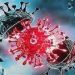 Coronavirus Updates: ਦੇਸ਼ ‘ਚ ਲਗਾਤਾਰ ਪੰਜਵੇਂ ਦਿਨ ਕੋਰੋਨਾ ਦੇ 2 ਹਜ਼ਾਰ ਤੋਂ ਵੱਧ ਮਾਮਲੇ, ਜਾਣੋ ਕਿੰਨੇ ਹਨ ਐਕਟਿਵ ਕੇਸ