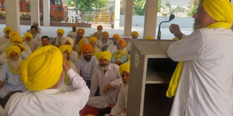 ਸਿੱਧੀ ਬਿਜਾਈ ਲਈ 10000 ਰੁਪਏ ਪ੍ਰਤੀ ਏਕੜ ਦੀ ਮੰਗ ਨੂੰ ਲੈ ਕੇ BKU ਉਗਰਾਹਾਂ ਵੱਲੋਂ ਧਰਨਿਆਂ ਦਾ ਐਲਾਨ
