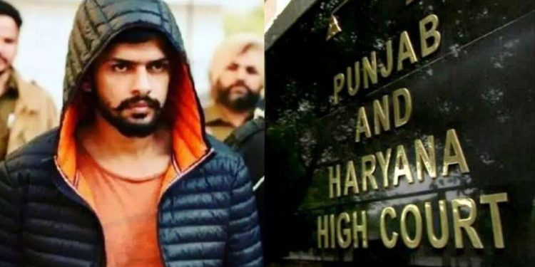 ਗੈਂਗਸਟਰ ਲਾਰੈਂਸ ਬਿਸ਼ਨੋਈ ਨੂੰ ਹਾਈਕੋਰਟ ਤੋਂ ਵੱਡਾ ਝਟਕਾ, ਸੁਰੱਖਿਆ ਦੇਣ ਦੀ ਪਟੀਸ਼ਨ ਖਾਰਜ