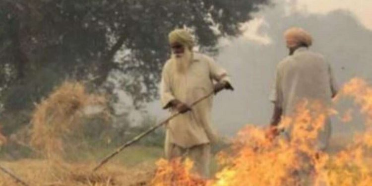 ਝੋਨੇ ਦੀ ਪਰਾਲੀ ਨਾ ਸਾੜਨ ਵਾਲੇ ਕਿਸਾਨਾਂ ਨੂੰ ਮਿਲੇਗਾ ਮੁਆਵਜ਼ਾ, ਜਾਣੋ ਕਿੰਨੇ ਪੈਸੇ ਮਿਲਣਗੇ?