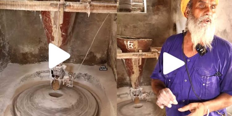 Flour Mill in Punjab: ਪੰਜਾਬ ‘ਚ ਮਿਲੀ 600 ਸਾਲ ਪੁਰਾਣੀ ਪਾਣੀ ਨਾਲ ਚੱਲਣ ਵਾਲੀ ਚੱਕੀ, ਬਿਜਲੀ ਦੀ ਨਹੀਂ ਕੋਈ ਲੋੜ