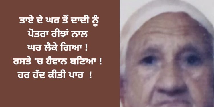 ਤਾਏ ਦੇ ਘਰ ਤੋਂ ਦਾਦੀ ਨੂੰ ਪੋਤਰਾ ਰੀਝਾਂ ਨਾਲ ਘਰ ਲੈਕੇ ਗਿਆ ! ਫਿਰ ਕੀਤਾ ਇਹ ਕ