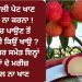 ਲੀਚੀ ਖਾਲੀ ਪੇਟ ਖਾਣ ਦੀ ਭੁੱਲ ਨਾ ਕਰਨਾ !ਪਾਣੀ ‘ਚ ਪਾਉਣ ਤੋਂ ਬਾਅਦ ਹੀ ਕਿਉਂ ਖਾਉ ?