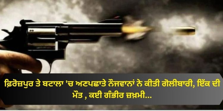 ਫ਼ਿਰੋਜ਼ਪੁਰ ਤੇ ਬਟਾਲਾ ‘ਚ ਅਣਪਛਾਤੇ ਨੌਜਵਾਨਾਂ ਨੇ ਕਰ ਦਿੱਤਾ ਇਹ ਕੰਮ , ਡਰ ਨਾਲ ਸਹਿਮੇ ਲੋਕ