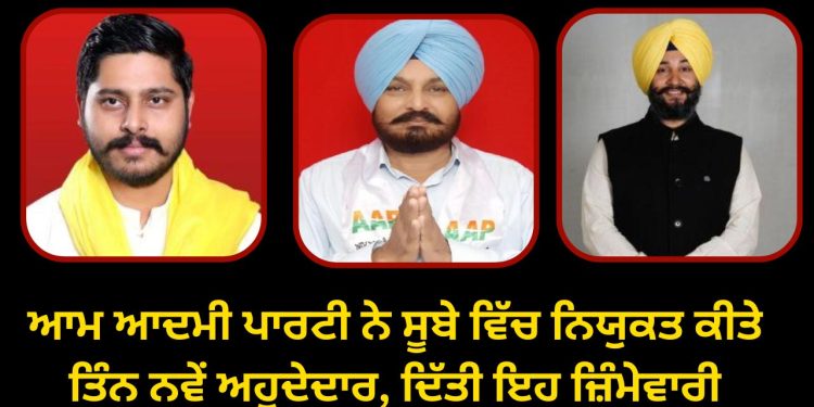 ਆਮ ਆਦਮੀ ਪਾਰਟੀ ਨੇ ਸੂਬੇ ਵਿੱਚ ਨਿਯੁਕਤ ਕੀਤੇ ਤਿੰਨ ਨਵੇਂ ਅਹੁਦੇਦਾਰ