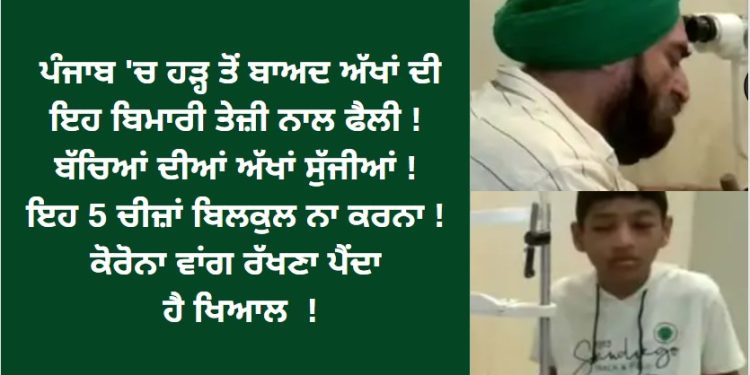 ਪੰਜਾਬ ‘ਚ ਹੜ੍ਹ ਤੋਂ ਬਾਅਦ ਹੁਣ ਨਵੀਂ ਮੁਸੀਬਤ !