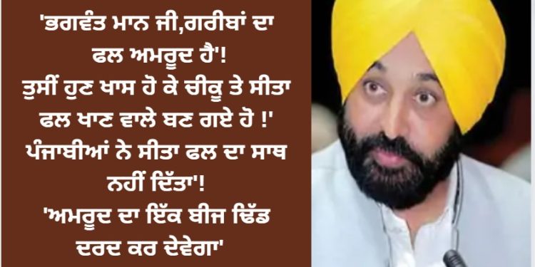 ‘ਭਗਵੰਤ ਮਾਨ ਜੀ,ਗਰੀਬਾਂ ਦਾ ਫਲ ਅਮਰੂਦ ਹੈ’!ਤੁਸੀਂ ਹੁਣ ਖਾਸ ਹੋ ਕੇ ਚੀਕੂ ਤੇ ਸੀਤਾ ਫਲ ਖਾਣ ਵਾਲੇ ਬਣ ਗਏ ਹੋ !