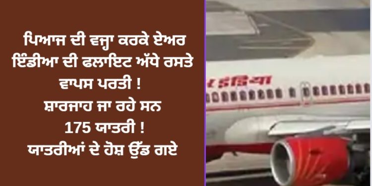 ਪਿਆਜ ਦੀ ਵਜ੍ਹਾ ਕਰਕੇ ਏਅਰ ਇੰਡੀਆ ਦੀ ਫਲਾਇਟ ਅੱਧੇ ਰਸਤੇ ਵਾਪਸ ਪਰਤੀ !