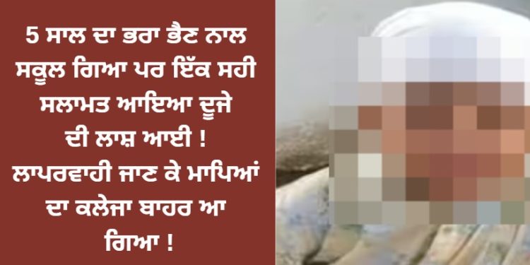 ਭਰਾ ਭੈਣ ਨਾਲ ਸਕੂਲ ਗਿਆ ਪਰ ਇੱਕ ਸਹੀ ਸਲਾਮਤ ਆਇਆ ਦੂਜੇ ਦਾ ਇਹ ਹੋਈ ਹਾਲਤ!