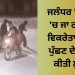 ਜਲੰਧਰ ‘ਚ ਮੰਡੀ ‘ਚ ਜਾ ਰਹੇ ਫਲ ਵਿਕਰੇਤਾ ਤੋਂ ਪਤਾ ਪੁੱਛਣ ਦੇ ਬਹਾਨੇ ਕੀਤੀ ਲੁੱਟ…