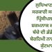 ਲੁਧਿਆਣਾ ‘ਚ ਸਰਕਾਰੀ ਸਕੂਲ ਦੇ ਪ੍ਰਿੰਸੀਪਲ ਨੇ ਕੀਤੀ ਬੱਚੇ ਨਾਲ ਸ਼ਰਮਨਾਕ ਕਰਤੂਤ…