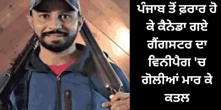 ਪੰਜਾਬ ਤੋਂ ਫ਼ਰਾਰ ਹੋ ਕੇ ਕੈਨੇਡਾ ਗਏ ਗੈਂਗਸਟਰ ਦਾ ਵਿਨੀਪੈਗ ‘ਚ ਕਰ ਦਿੱਤਾ ਇਹ ਹਾਲ..