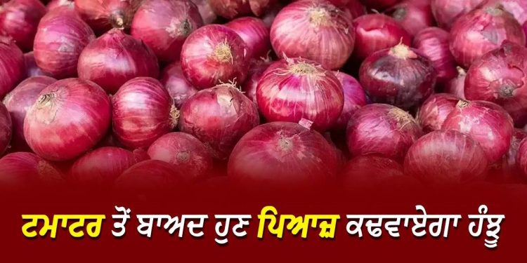 Onion Price : 100 ਰੁਪਏ ਤਕ ਪੁੱਜੇਗੀ ਪਿਆਜ਼ਾਂ ਦੀ ਕੀਮਤ !