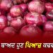 Onion Price : 100 ਰੁਪਏ ਤਕ ਪੁੱਜੇਗੀ ਪਿਆਜ਼ਾਂ ਦੀ ਕੀਮਤ !