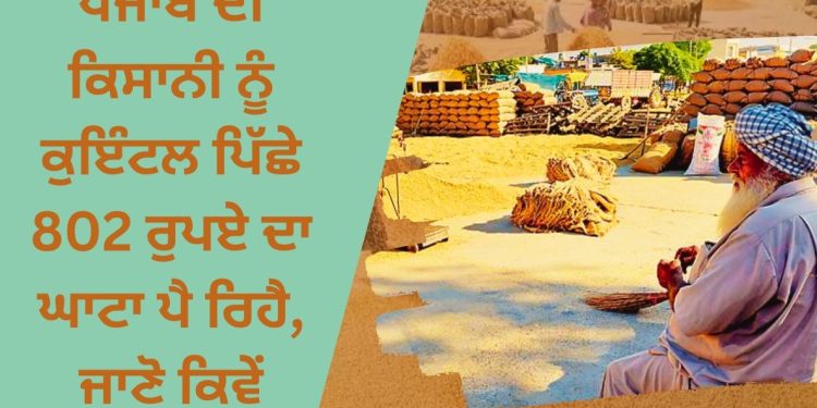 ਪੰਜਾਬ ਦੀ ਕਿਸਾਨੀ ਨੂੰ ਕੁਇੰਟਲ ਪਿੱਛੇ 802 ਰੁਪਏ ਦਾ ਘਾਟਾ ਪੈ ਰਿਹੈ, ਜਾਣੋ ਕਿਵੇਂ