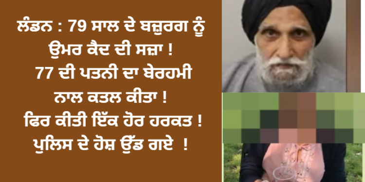 ਲੰਡਨ : 79 ਸਾਲ ਦੇ ਬਜ਼ੁਰਗ ਨੂੰ ਲੈਕੇ ਅਦਾਲਤ ਨੇ ਸੁਣਾਇਆ ਵੱਡਾ ਫੈਸਲਾ