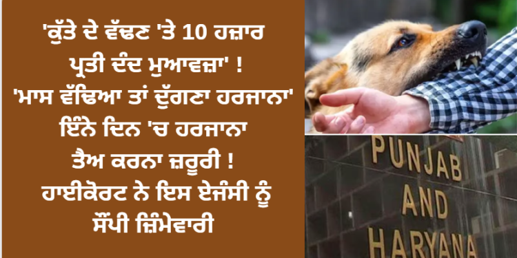 ‘ਕੁੱਤੇ ਦੇ ਵੱਢਣ ‘ਤੇ 10 ਹਜ਼ਾਰ ਪ੍ਰਤੀ ਦੰਦ ਮੁਆਵਜ਼ਾ’ !