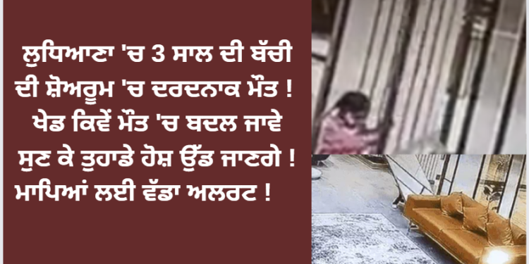 ਲੁਧਿਆਣਾ ‘ਚ 3 ਸਾਲ ਦੀ ਬੱਚੀ ਨਾਲ ਹੋਇਆ ਮਾੜਾ !