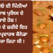 ਦੇਸੀ ਘਿਓ ਦੀ ਪਿੰਨੀਆਂ ਨੇ ਪੰਜਾਬ ਪੁਲਿਸ ਦੇ ਉਡਾਏ ਹੋਸ਼ !