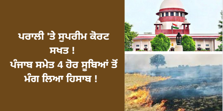 ਪਰਾਲੀ ‘ਤੇ ਸੁਪਰੀਮ ਕੋਰਟ ਸਖਤ ! ਪੰਜਾਬ ਸਮੇਤ 4 ਹੋਰ ਸੂਬਿਆਂ ਤੋਂ ਮੰਗ ਲਿਆ ਹਿਸਾਬ !