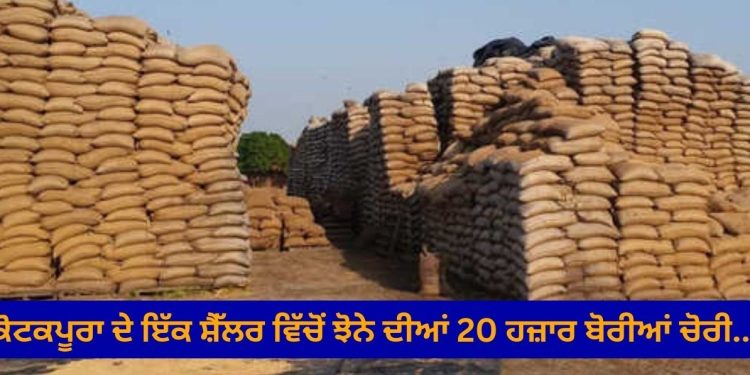 ਕੋਟਕਪੂਰਾ ਦੇ ਇੱਕ ਸ਼ੈੱਲਰ ਵਿੱਚੋਂ ਝੋਨੇ ਦੀਆਂ 20 ਹਜ਼ਾਰ ਬੋਰੀਆਂ ਚੋਰੀ…