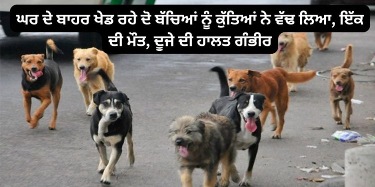 ਘਰ ਦੇ ਬਾਹਰ ਖੇਡ ਰਹੇ ਦੋ ਬੱਚਿਆਂ ਦਾ ਅਵਾਰਾ ਕੁੱਤਿਆਂ ਨੇ ਕਰ ਦਿੱਤਾ ਬੁਰਾ ਹਾਲ…