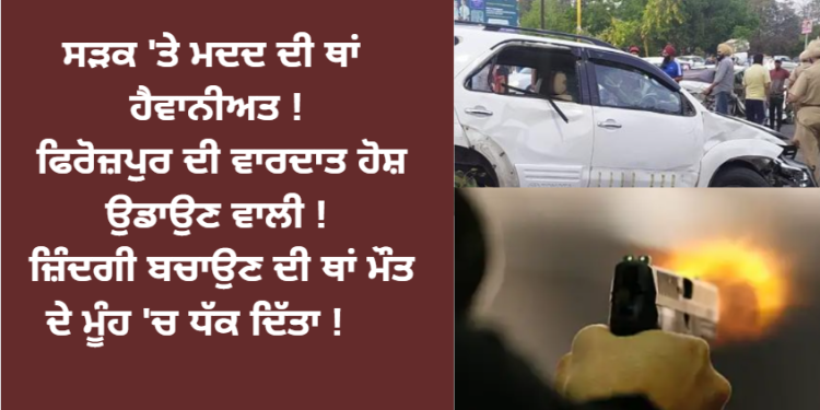 ਸੜਕ ‘ਤੇ ਮਦਦ ਦੀ ਥਾਂ ਹੈਵਾਨੀਅਤ !