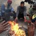 Punjab Weather Update: ਸੂਬੇ ‘ਚ ਧੁੰਦ ਤੇ ਸੀਤ ਲਹਿਰ