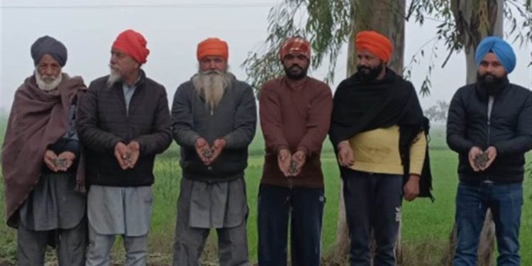 ਇਕ ਮਹੀਨੇ ‘ਚ ਹੀ ਖਿੱਲਰੀ ਨਵੀਂ ਬਣੀ ਸੜਕ