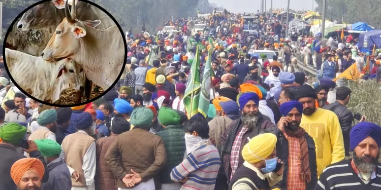 Farmers Protes : ਗਊ ਦਾ ਸਹਾਰਾ ਲੈ ਕੇ ਦਿੱਲੀ ਕੂਚ ਕਰਨਗੇ ਕਿਸਾਨ ਸੰਗਠਨ, ਕਿਹਾ – ‘ਕੀ ਗਊ ਪ੍ਰੇਮੀ ਭਾਜਪਾ ਸਰਕਾਰ ਹੁਣ ਵੀ ਖੋਲ੍ਹੇਗੀ ਫਾਇਰ’