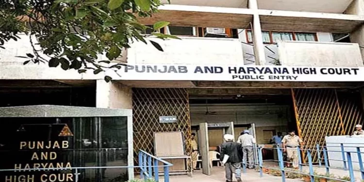 Chandigarh News : ਪਤੀ ਨੇ ਜਬਰ ਜਨਾਹ ਦੇ ਦੋਸ਼ ‘ਚ ਕੱਟੀ ਜੇਲ੍ਹ ਦੀ ਸਜ਼ਾ, 185 ਦਿਨਾਂ ਬਾਅਦ ਮਿਲੀ ਜ਼ਮਾਨਤ; ਜਾਣੋ ਕੀ ਹੈ ਪੂਰਾ ਮਾਮਲਾ