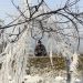 Weather Update- ਪੰਜਾਬ-ਹਰਿਆਣਾ ਵਿੱਚ ਠੰਢ ਜਾਰੀ, ਕਸ਼ਮੀਰ ਘਾਟੀ ’ਚ ਤਾਪਮਾਨ ਵਧਿਆ