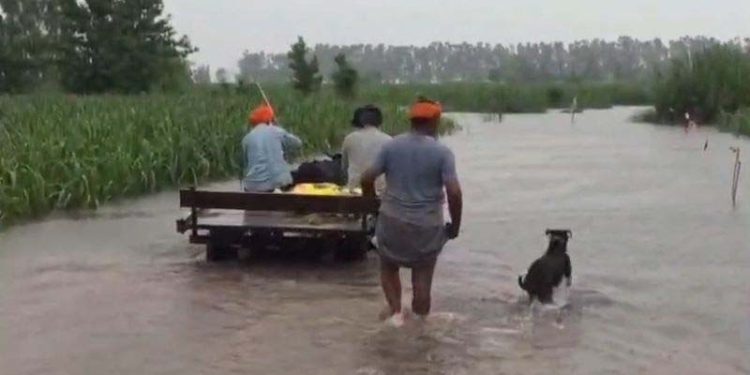 Punjab Flood Alert: ਸਰਹੱਦੀ ਪਿੰਡਾਂ ’ਚ ਵੱਜੀ ਖ਼ਤਰੇ ਦੀ ਘੰਟੀ; ਲਗਾਤਾਰ ਪਏ ਮੀਂਹ ਨੇ ਵਧਾਈ ਲੋਕਾਂ ਦੀ ਚਿੰਤਾ