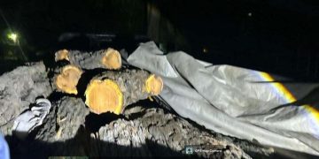 Khair wood smuggling: ਪੰਜਾਬ-ਹਿਮਾਚਲ ਸਰਹੱਦ ‘ਤੇ ਸਰਗਰਮ ਖੈਰ ਦੀ ਲੱਕੜ ਦੇ ਤਸਕਰਾਂ ਦੇ ਗਰੋਹ ਦਾ ਪਰਦਾਫਾਸ਼