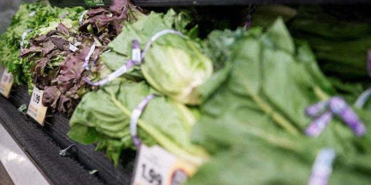 Salad Infection Outbreak: ਅਮਰੀਕਾ ਵਿਚ ਸਲਾਦ ਕਾਰਨ ਬਿਮਾਰੀ ਫੈਲੀ; ਦੋ ਮੌਤਾਂ