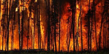 Canada Wildfire Sikh: ਸਿੱਖ ਭਾਈਚਾਰੇ ਨੇ ਕੈਨੇਡਾ ’ਚ ਪੀੜਤਾਂ ਦੀ ਬਾਂਹ ਫੜੀ
