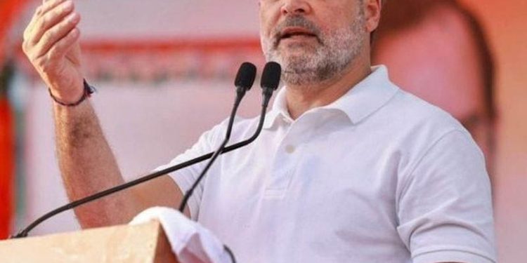 Rahul Gandhi Protest: ਲੋਕਤੰਤਰ ਦੀ ਬਹਾਲੀ ਲਈ ਮਿਲ ਕੇ ਲੜਾਂਗੇ: ਰਾਹੁਲ ਗਾਂਧੀ